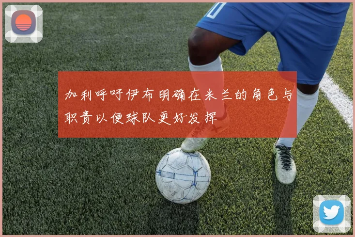 加利呼吁伊布明确在米兰的角色与职责以便球队更好发挥